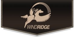Windridge Texas Logo